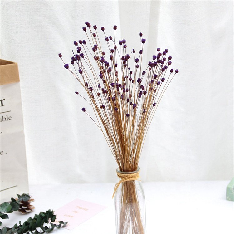Beautiful Small Natural Dry Flower For Dried Flower Arrangements