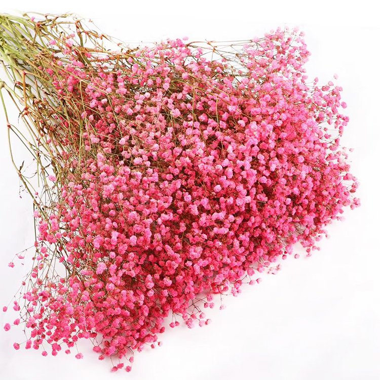 100g per bunch colorful artificial pink white preserved flower preserved gypsophila flower real touch baby breath