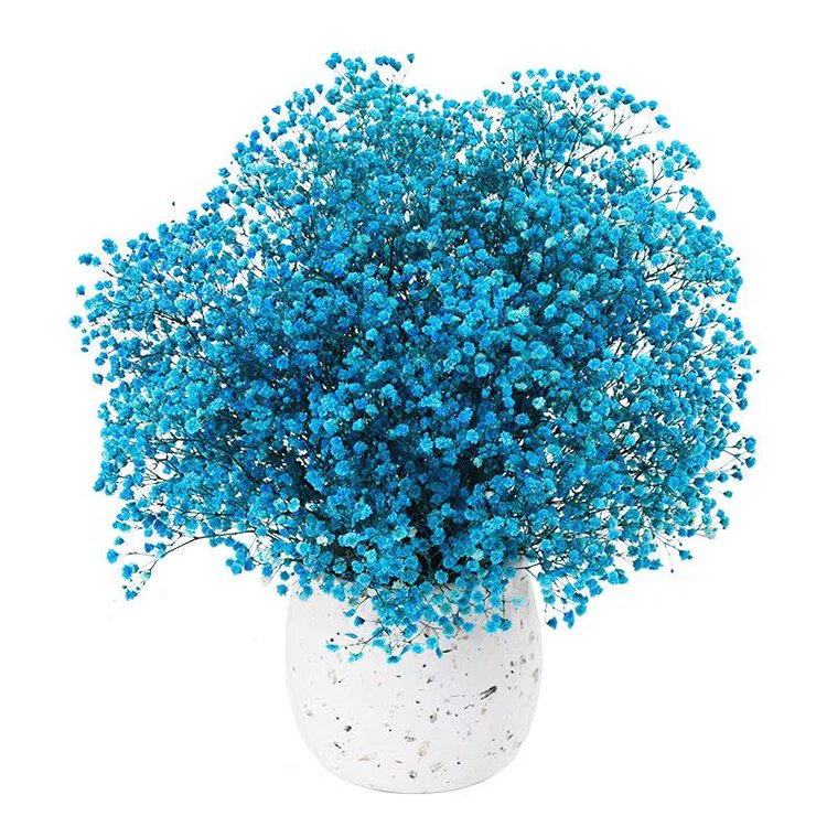 100g per bunch colorful artificial pink white preserved flower preserved gypsophila flower real touch baby breath
