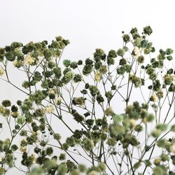 402