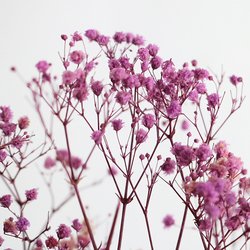 502