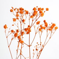 202