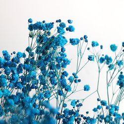 301