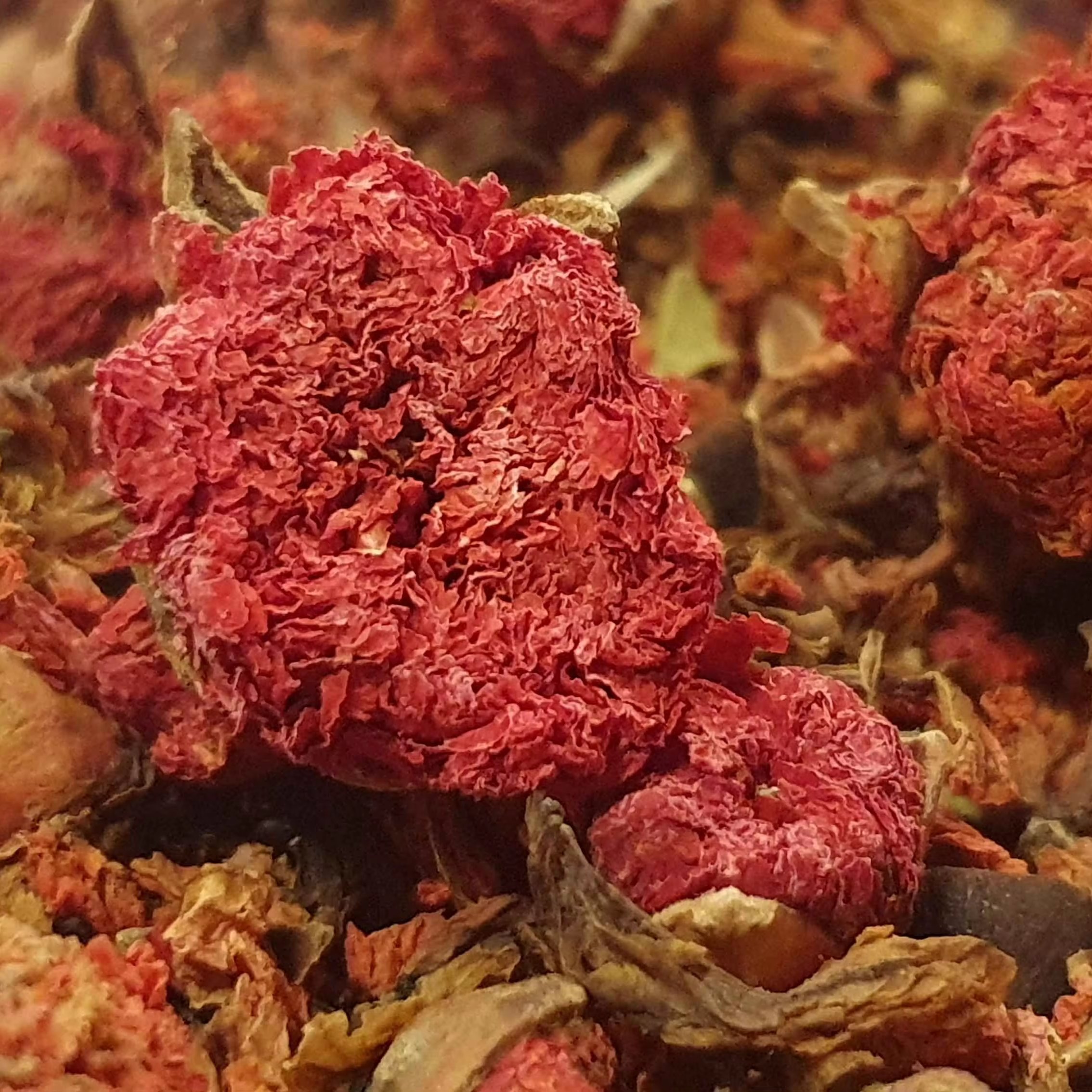 Natural Fragrance Reasonable Price Pomegranate Dry Flowers Customized Packing Pomegranate dry Flowers High Quality OEM Service