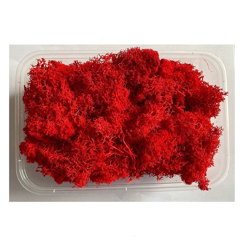 Wholesale greenery dried flowers preserved flowers preserved moss for wedding decor