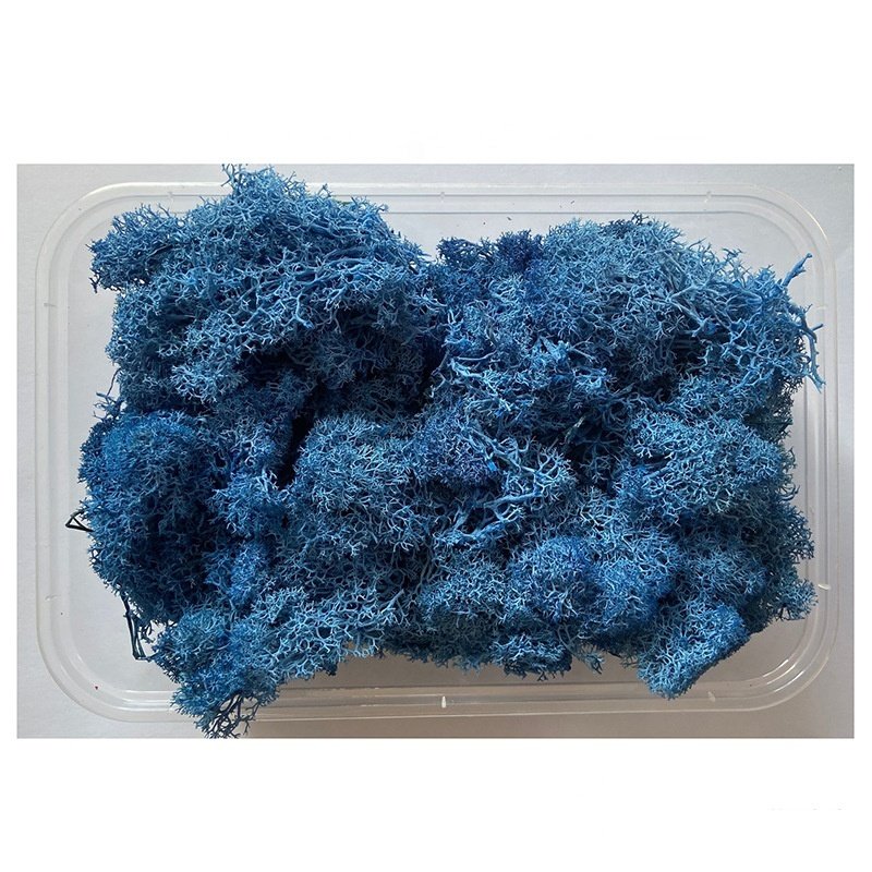 Wholesale greenery dried flowers preserved flowers preserved moss for wedding decor