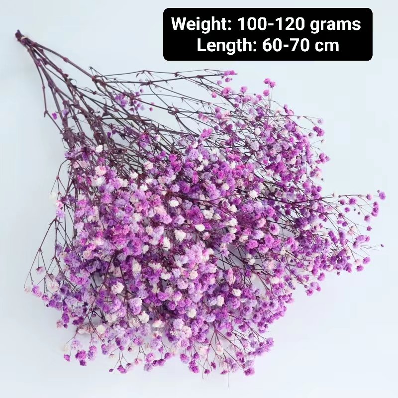 Wholesale Preserved baby breath gypsophila flowers dried customized colors for wedding bouquet decor