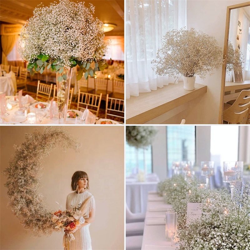 2023 Customized preserved flowers natural preserved gypsophila preserved babys breath for wedding centerpieces Party Decoration