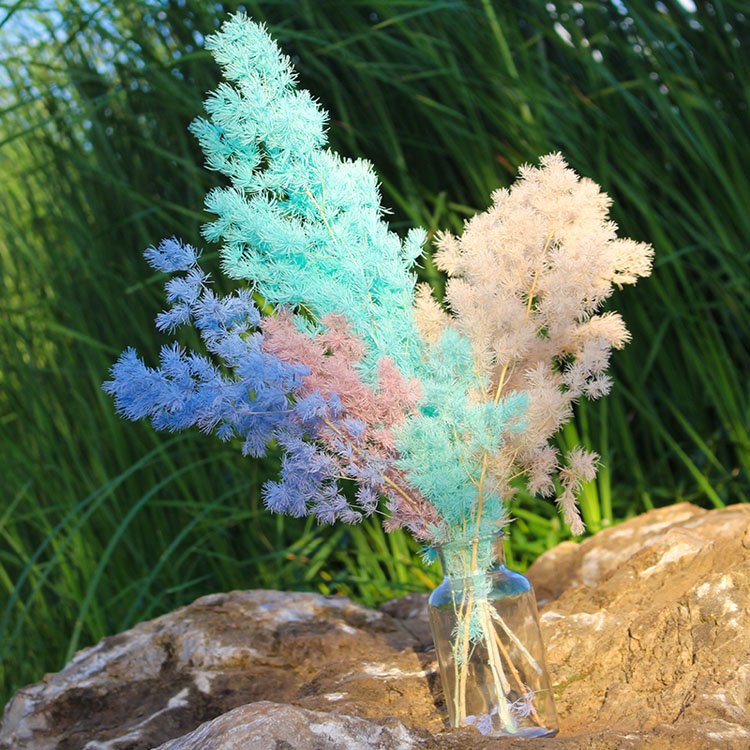 SumFlora High Quality Multi-colors Arrangement flowers preserved flower asparagus myriocladus