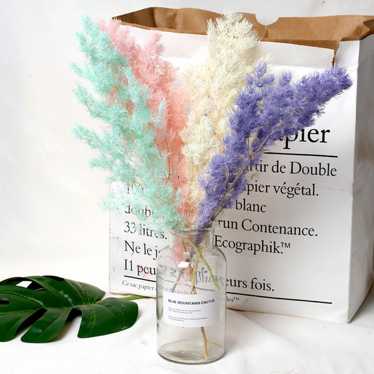 SumFlora High Quality Multi-colors Arrangement flowers preserved flower asparagus myriocladus