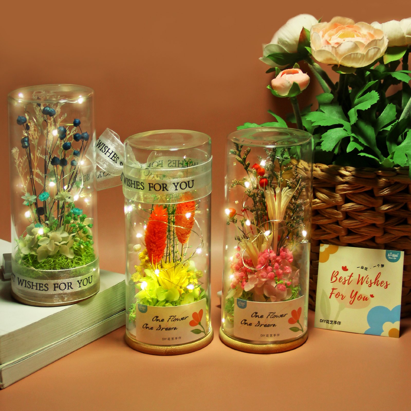 Dried Flowers Preserved flowers for Women Birthday mothers day Gift for Her Anniversary Gifts floral DIY