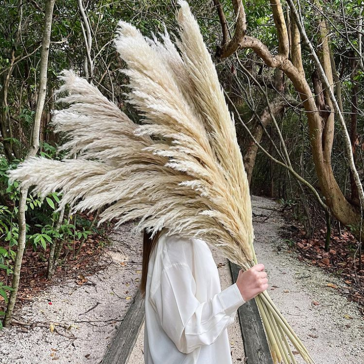 BOHO style Natural Real fluffy Pampas Grass Preserved Dried Pampas Grass Large For Wedding Decoration