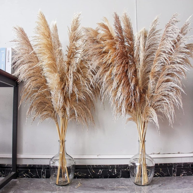 BOHO style Natural Real fluffy Pampas Grass Preserved Dried Pampas Grass Large For Wedding Decoration