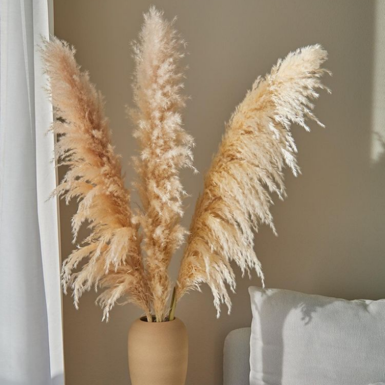 BOHO style Natural Real fluffy Pampas Grass Preserved Dried Pampas Grass Large For Wedding Decoration