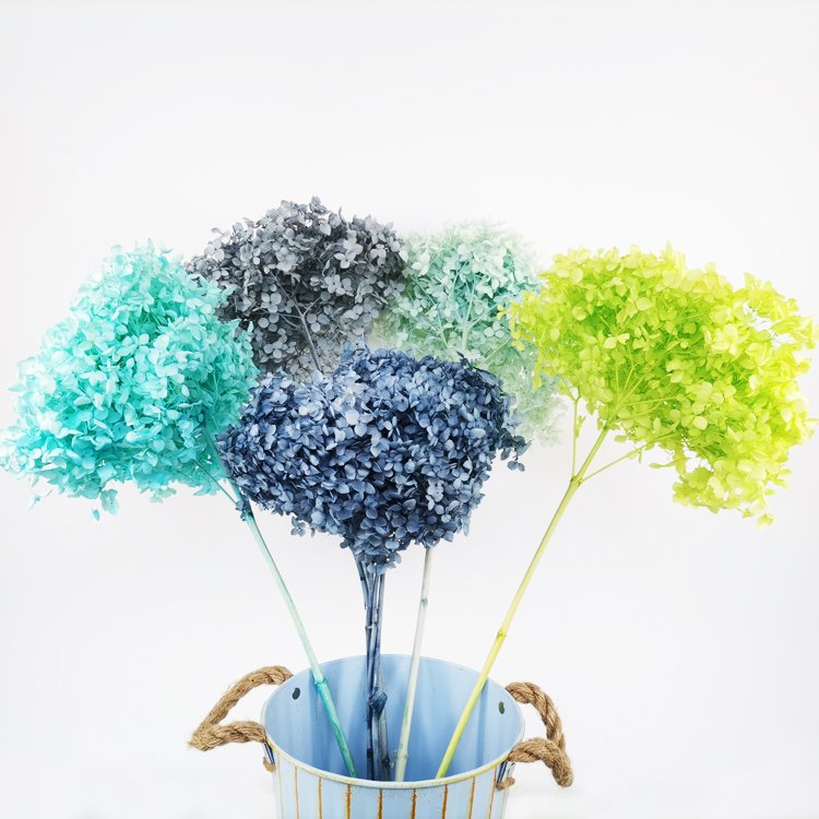 SumFlora Wholesale everlasting flower real touch flowers for wedding preserved flower hydrangea