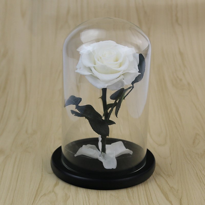 Preserved Flowers Dome Box Eternal Roses in Glass Luxury Natural Beautiful Rose for Wedding Gifts Valentines Day Gifts Christmas