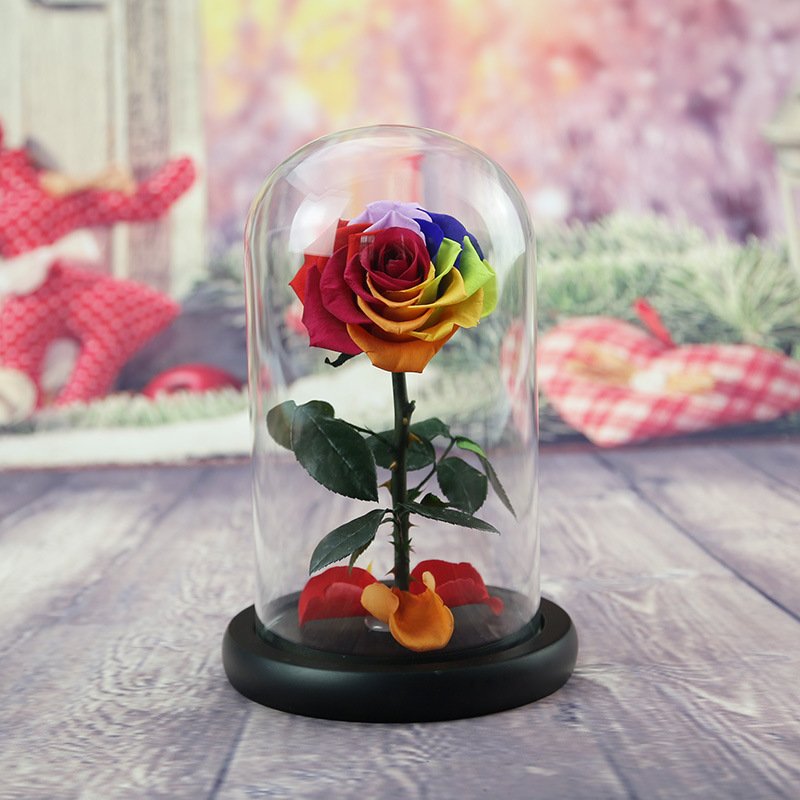 Preserved Flowers Dome Box Eternal Roses in Glass Luxury Natural Beautiful Rose for Wedding Gifts Valentines Day Gifts Christmas