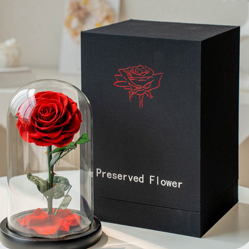 Preserved Flowers Dome Box Eternal Roses in Glass Luxury Natural Beautiful Rose for Wedding Gifts Valentines Day Gifts Christmas