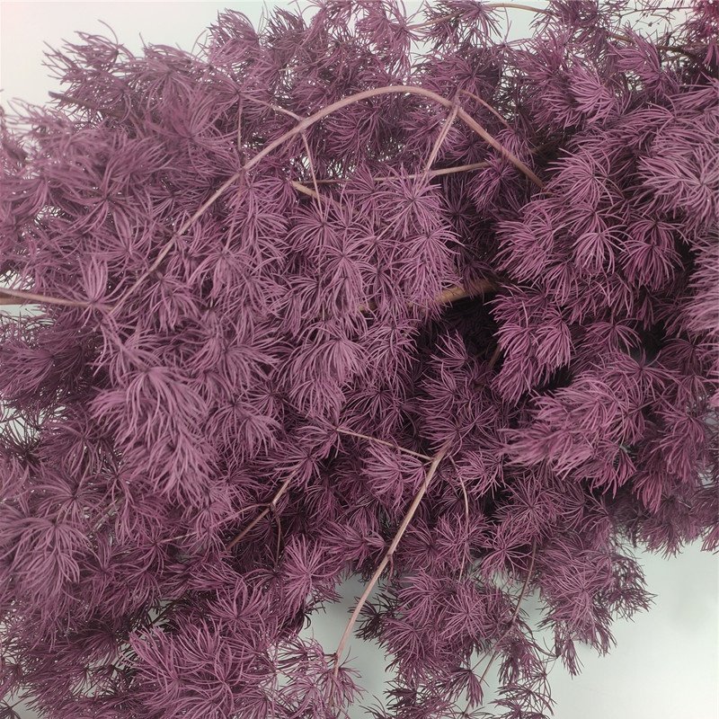 high quality preserved ming fern for flower arrangements