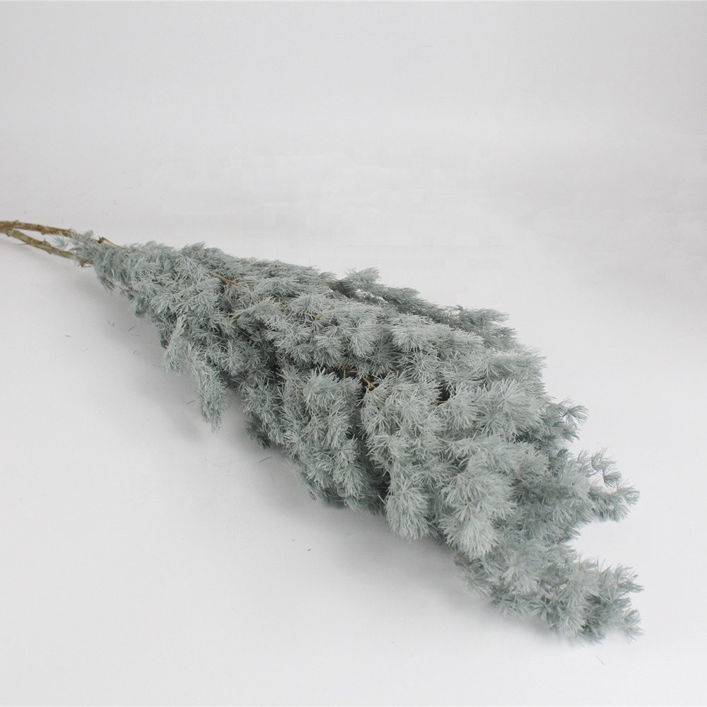 high quality preserved ming fern for flower arrangements
