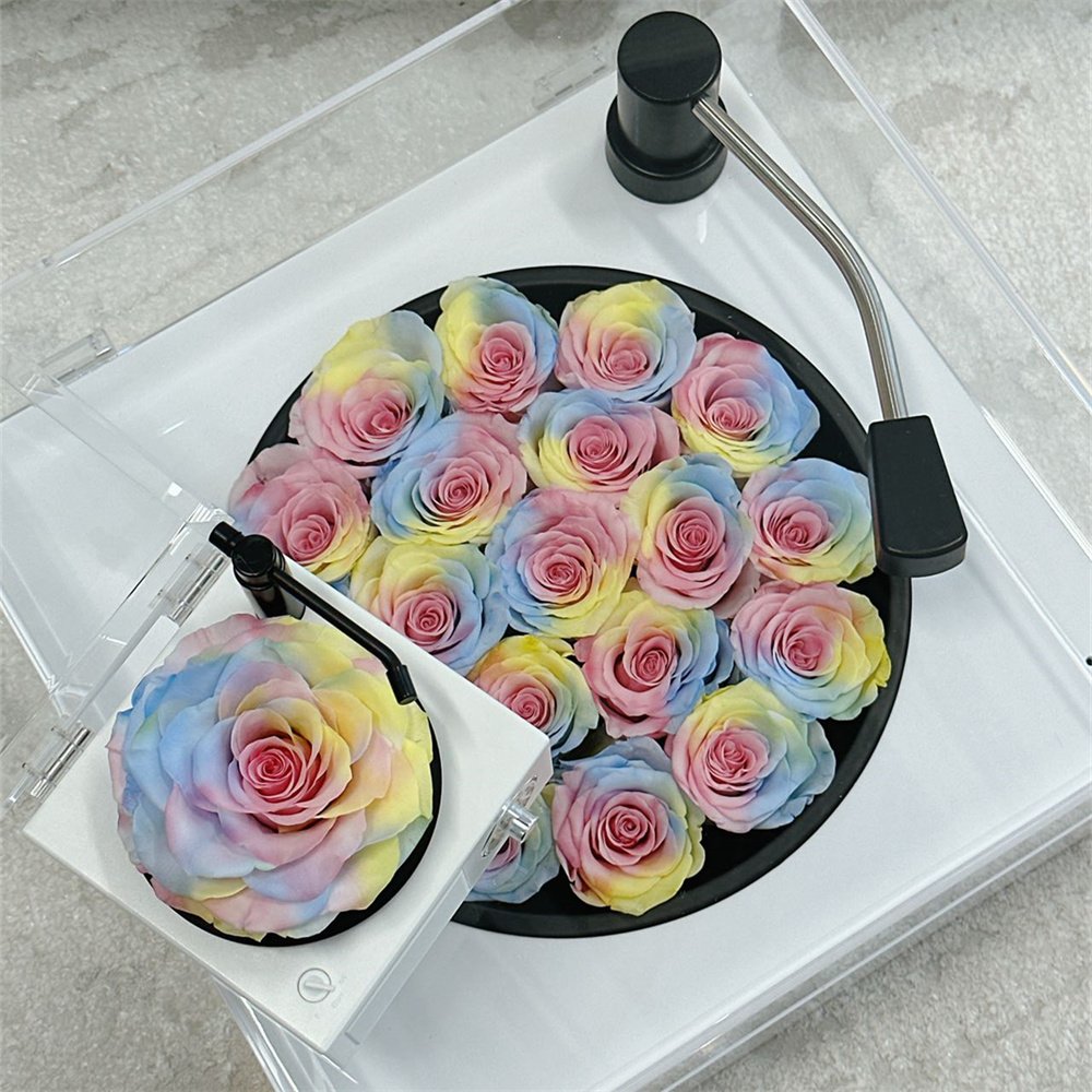 Wholesale Valentine Day Rose Colorful Candy Colors Rose Gift Box Real Natural Forever Eternal Preserved Fresh Flower for Girls
