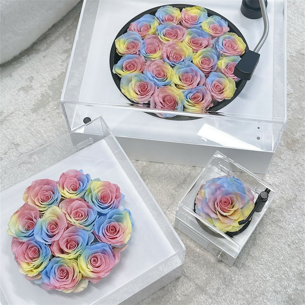 Wholesale Valentine Day Rose Colorful Candy Colors Rose Gift Box Real Natural Forever Eternal Preserved Fresh Flower for Girls