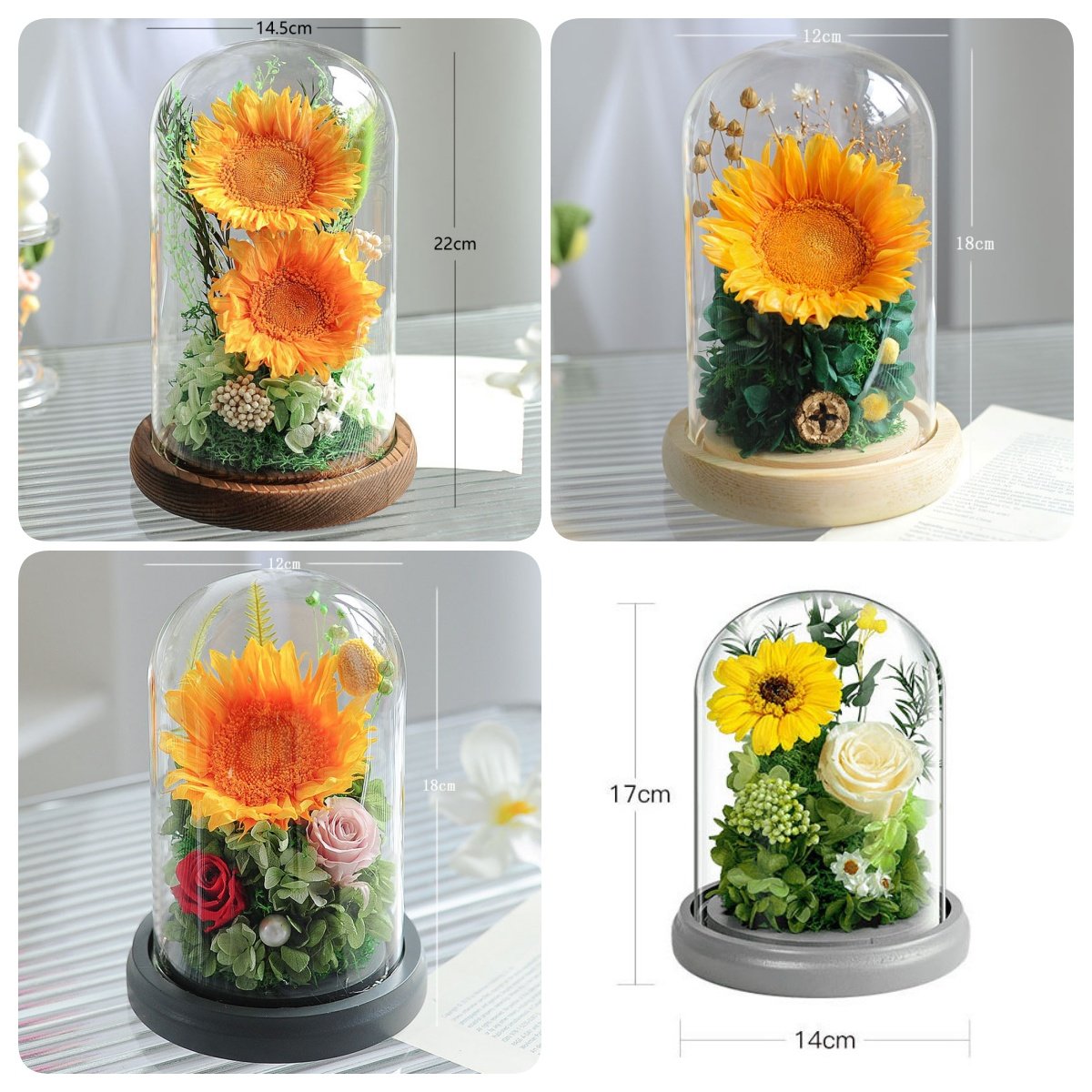 New Preserved Flower And Plants Eternal Sunflower In Gift Box For Anniversary Valentine's Day Preserved Sunflowers In Glass Dome