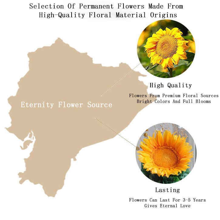 New Preserved Flower And Plants Eternal Sunflower In Gift Box For Anniversary Valentine's Day Preserved Sunflowers In Glass Dome