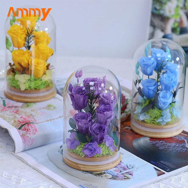 AM-PFA36 Ammy valentine's Day Gifts 6 Preserved flower with glass dome Luxury preserved eternal roses flower in glass dome