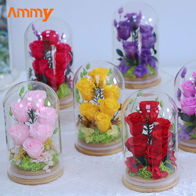 AM-PFA36 Ammy valentine's Day Gifts 6 Preserved flower with glass dome Luxury preserved eternal roses flower in glass dome