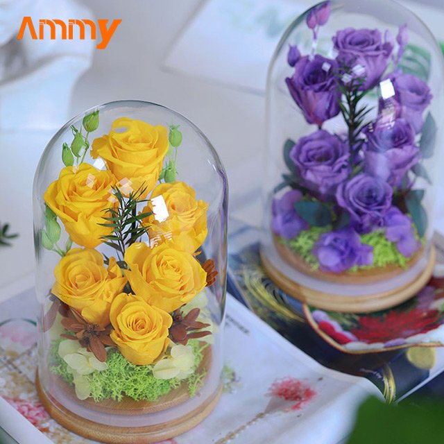 AM-PFA36 Ammy valentine's Day Gifts 6 Preserved flower with glass dome Luxury preserved eternal roses flower in glass dome