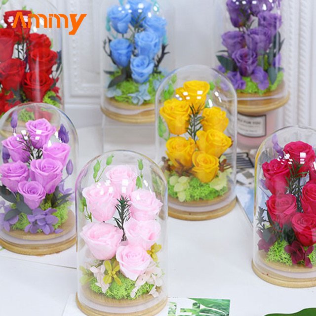 AM-PFA36 Ammy valentine's Day Gifts 6 Preserved flower with glass dome Luxury preserved eternal roses flower in glass dome