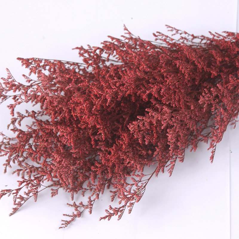 Top Fashion Nordic Style Everlasting Flowers Limonium Wedding Decorative Preserved Crystal Grass Statice Flowers