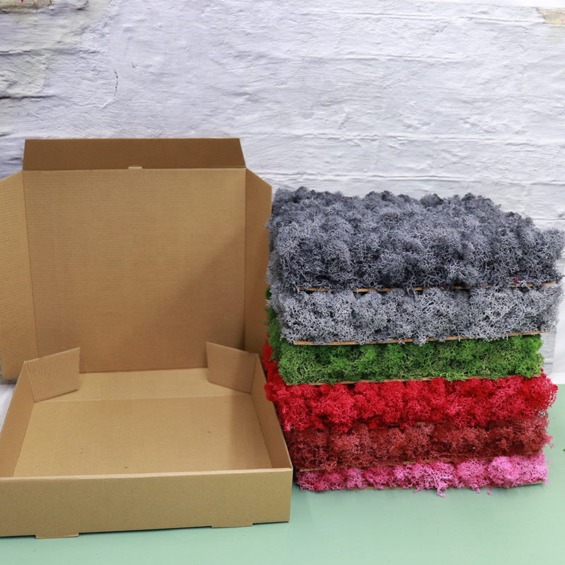 Wholesale Decorative Preserved Flower Plants Real Natural Moss Boxes Preserved Moss for Decoration.