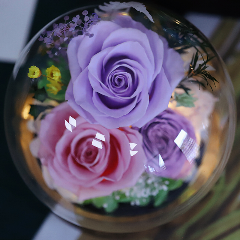 Christmas Day Chinese New Year Preserved Rose Gift Glass Cover Natural Everlasting Forever Flowers with LED Wholesale Sales