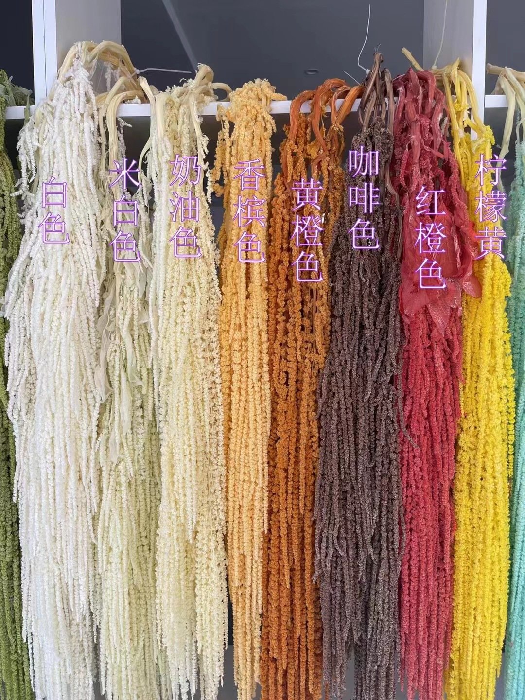 Amaranth Caudatus Natural Pink White Preserved Amaranthus Flowers Hanging Beads For Weddings Christmas Halloween Decorations