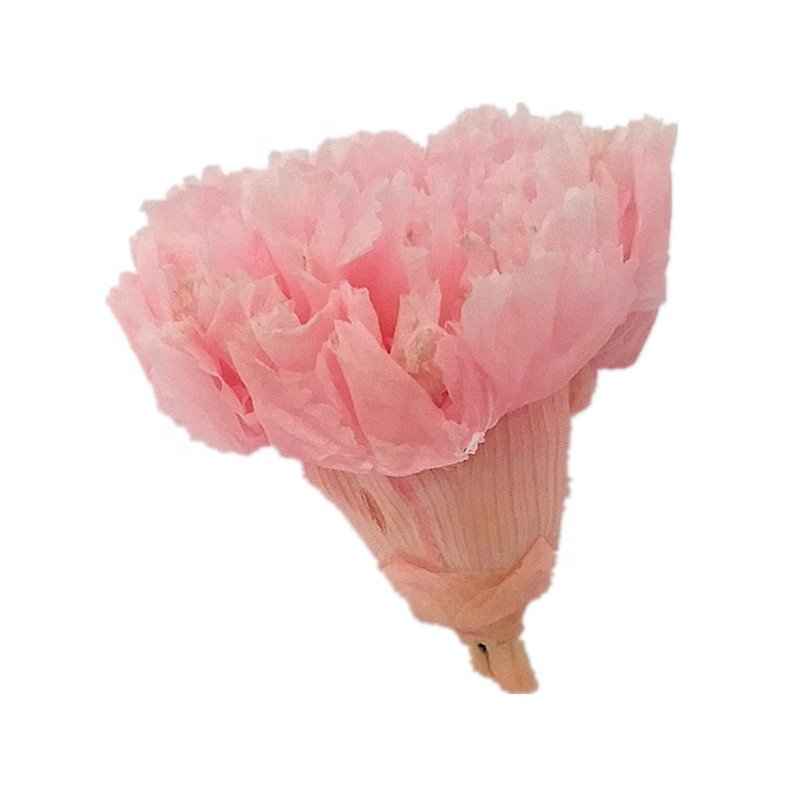 Preserved Flowers and Plants Fresh Cut Carnation For Mothers Day