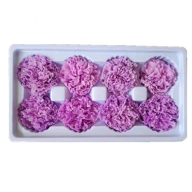 Preserved Flowers and Plants Fresh Cut Carnation For Mothers Day