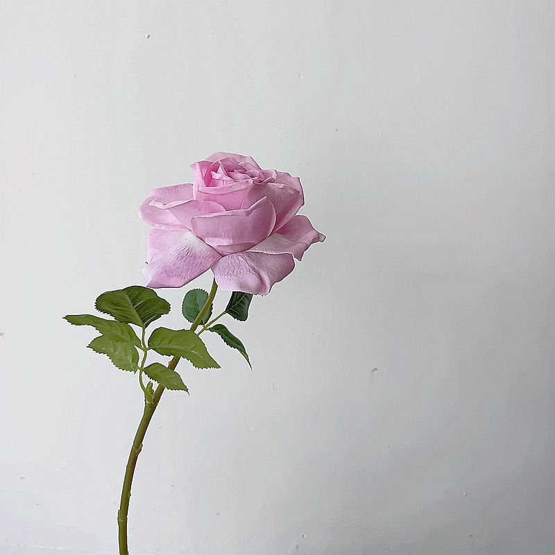 M832 Hot Selling Pink Roses Real Touch Silk Flower Bulk Latex Rose Flowers Artificial For Wedding Centerpiece Decoration Flower