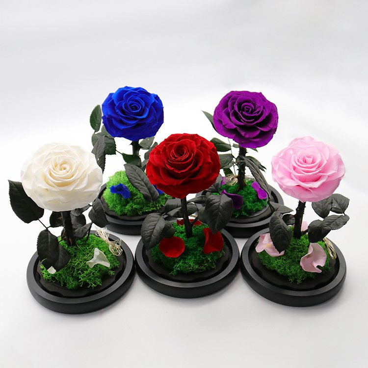 B-18 Hot sale new arrivals Eternal rose valentine's day mother day gifts set decorative flowers glass dome gift preserved rose