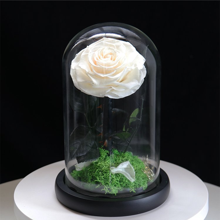 B-18 Hot sale new arrivals Eternal rose valentine's day mother day gifts set decorative flowers glass dome gift preserved rose