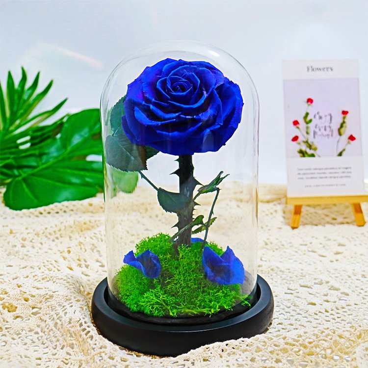 B-18 Hot sale new arrivals Eternal rose valentine's day mother day gifts set decorative flowers glass dome gift preserved rose