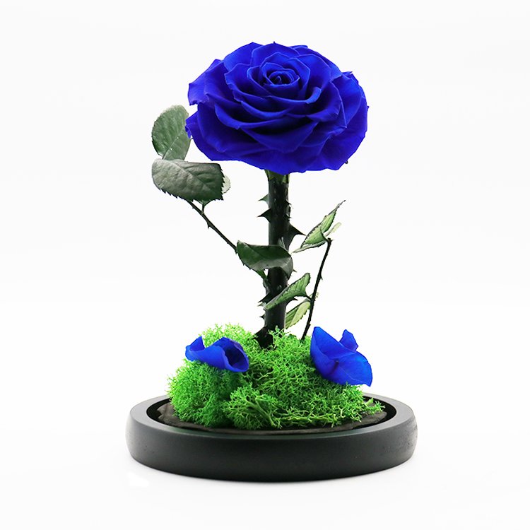 B-18 Hot sale new arrivals Eternal rose valentine's day mother day gifts set decorative flowers glass dome gift preserved rose