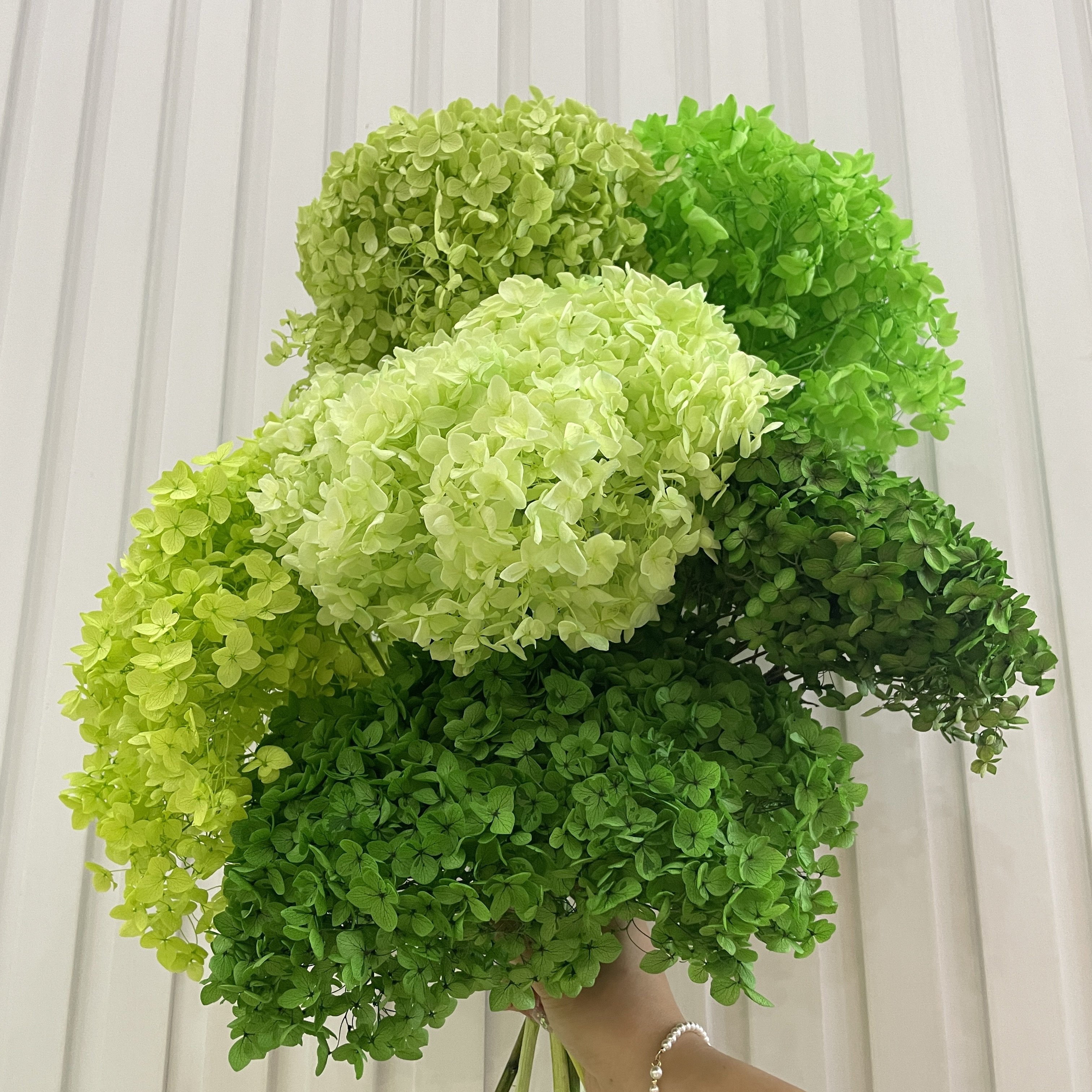 factory sales preserved real dry good quality anna hydrangea wedding decoration