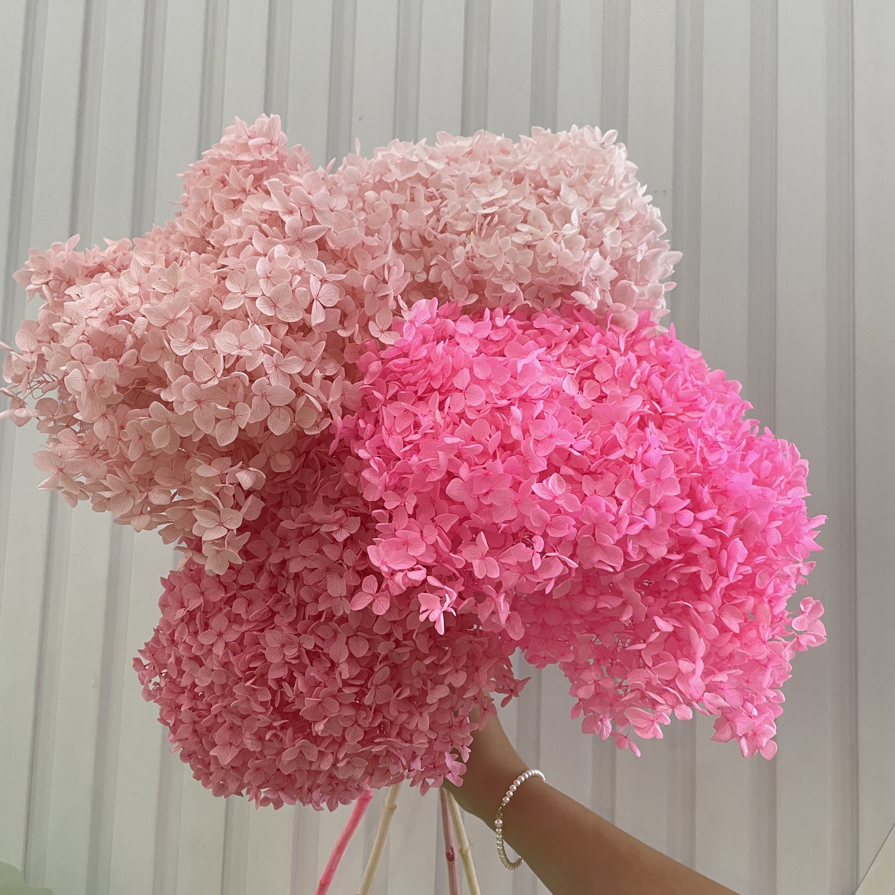 factory sales preserved real dry good quality anna hydrangea wedding decoration
