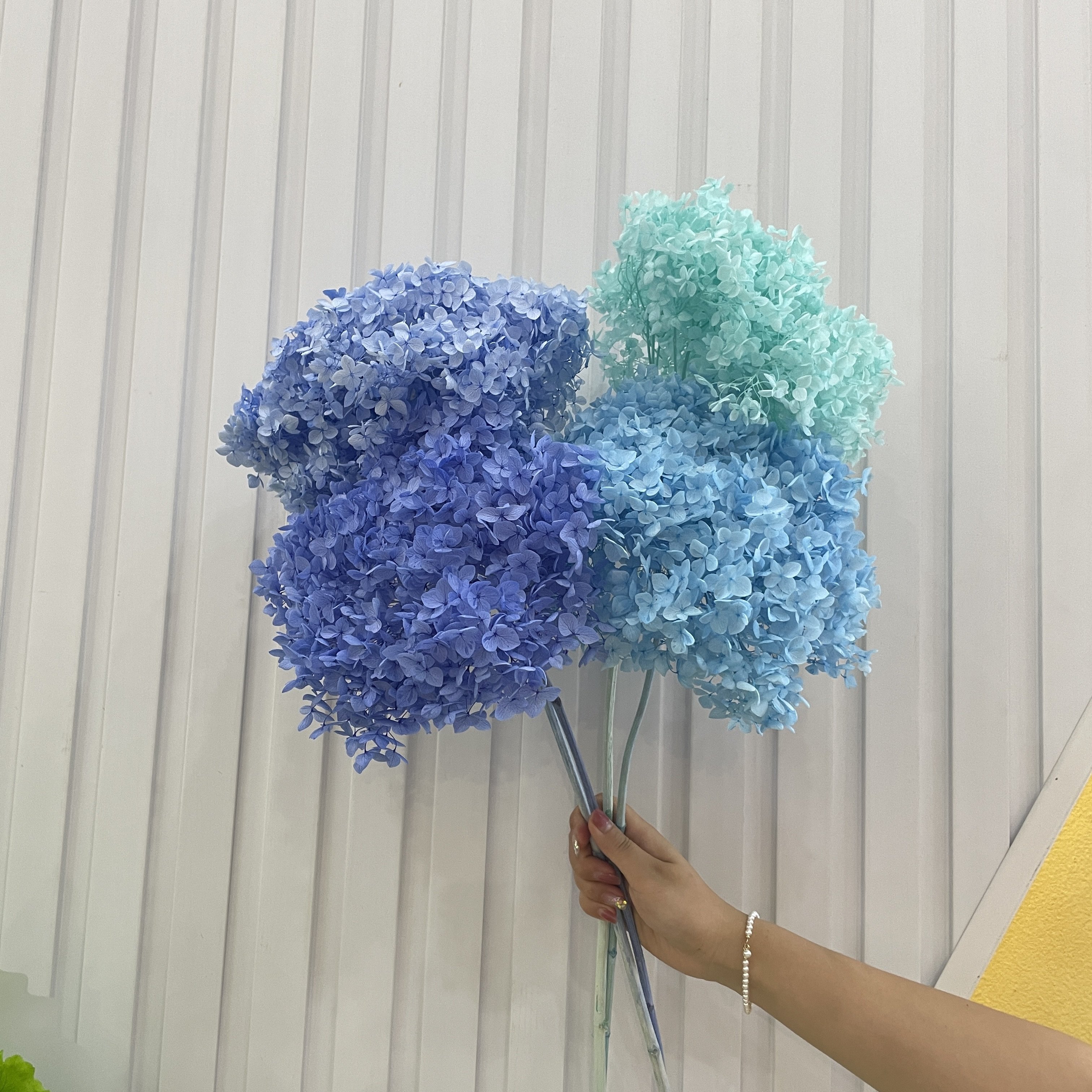 factory sales preserved real dry good quality anna hydrangea wedding decoration
