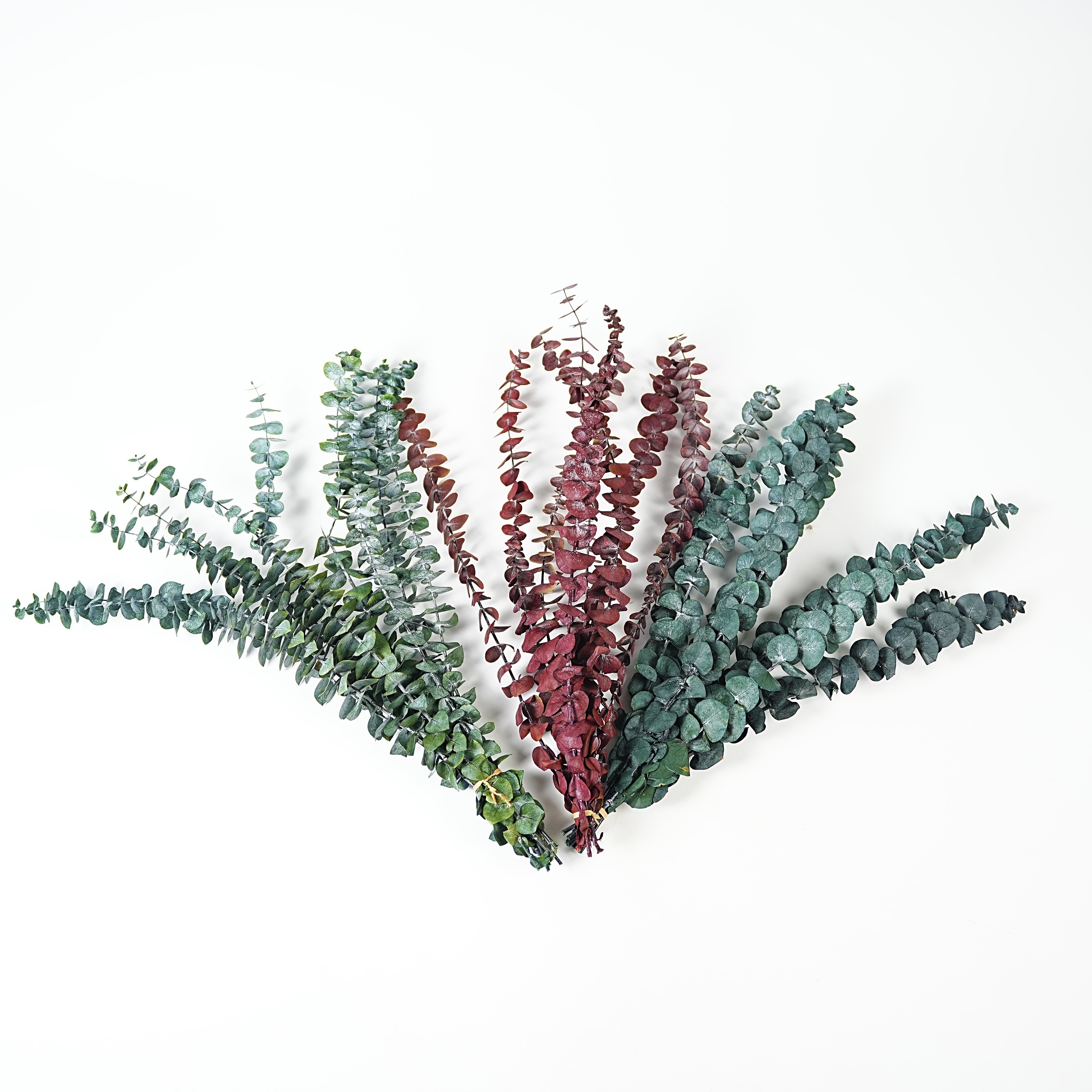 Factory direct sales Natural fresh hanging eucalyptus and lavender stems for bathing and furniture upholstery