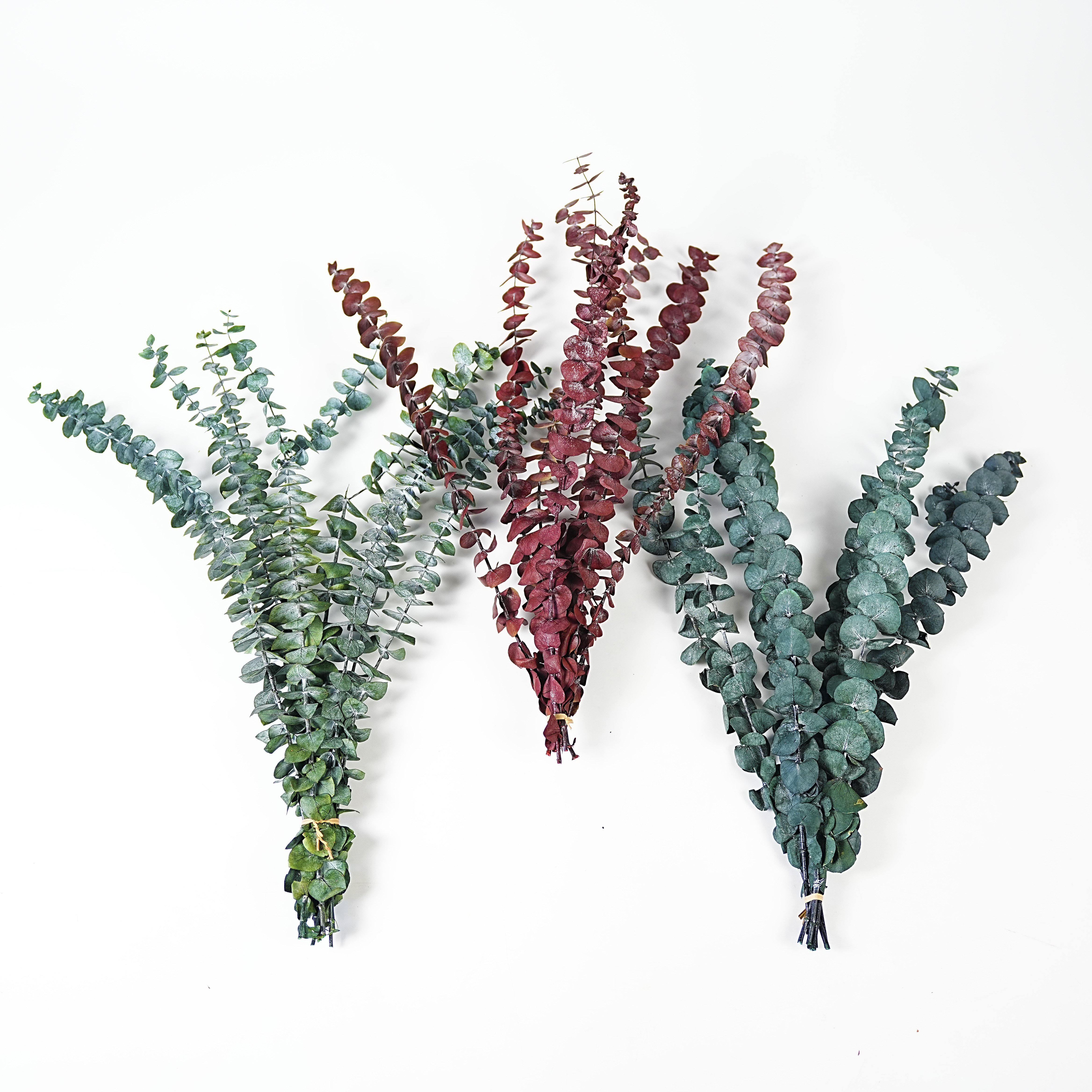 Factory direct sales Natural fresh hanging eucalyptus and lavender stems for bathing and furniture upholstery