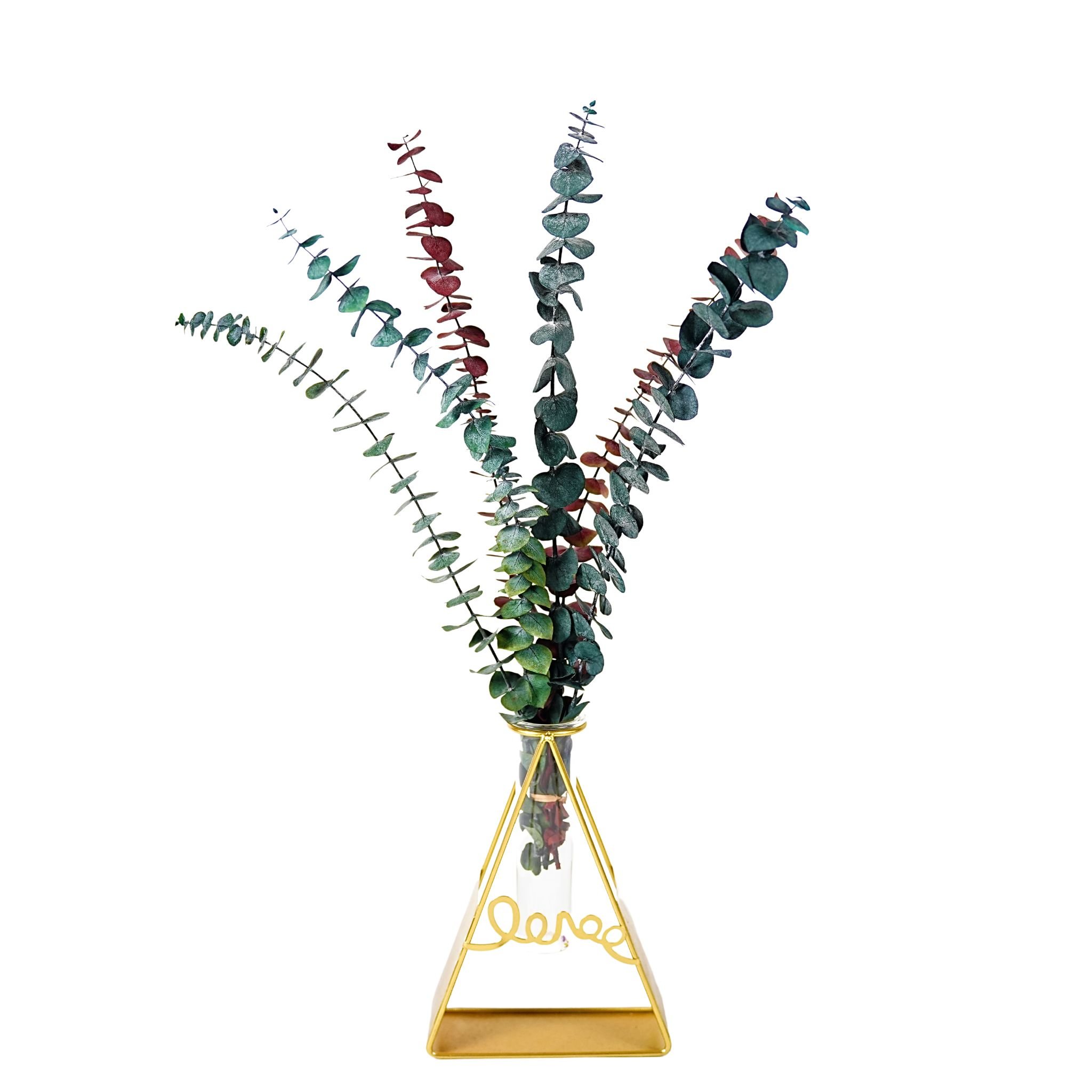 Factory direct sales Natural fresh hanging eucalyptus and lavender stems for bathing and furniture upholstery