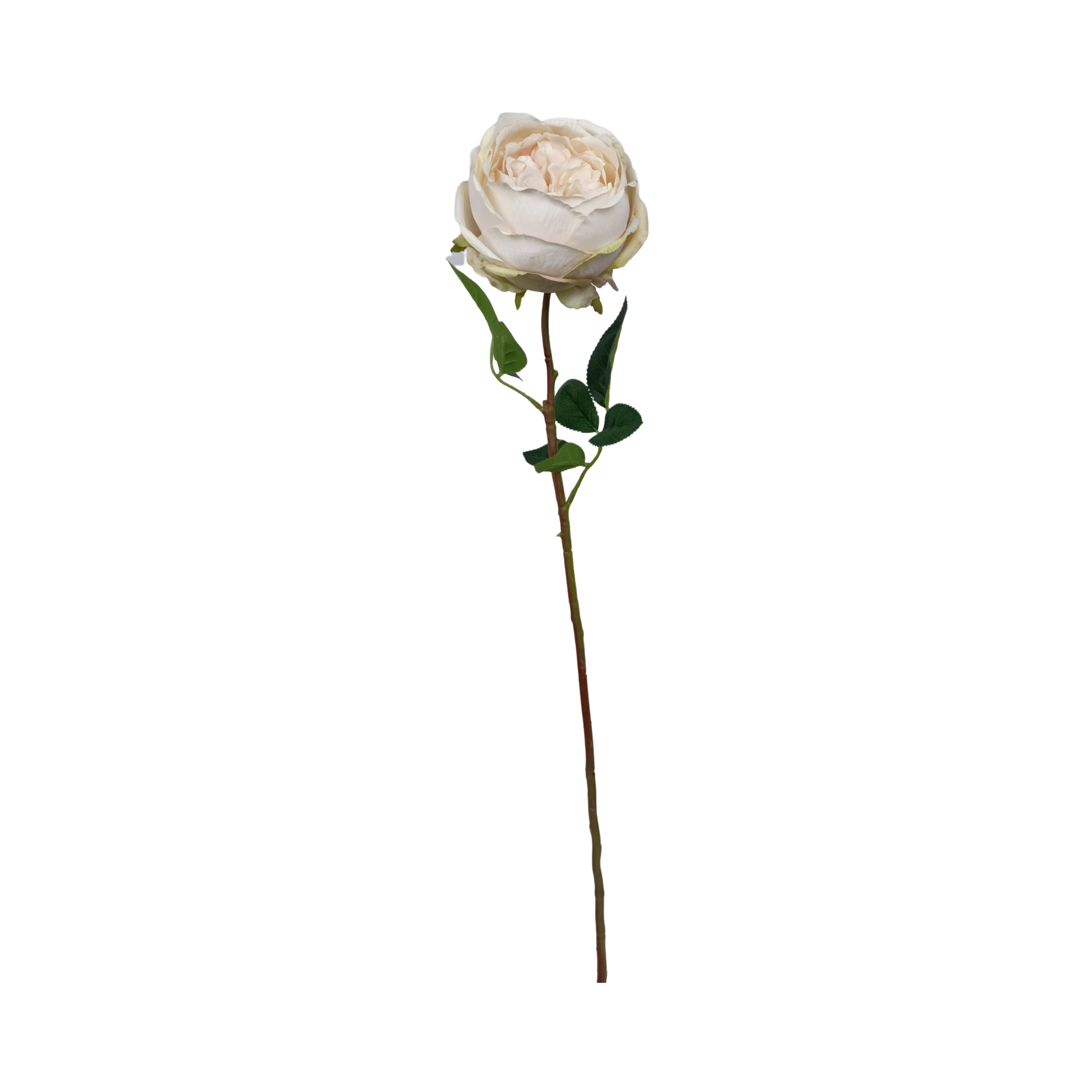 2024 new products Multicolor plastic Silk Flores Velvet Faux Single Flower Artificial Rose For Wedding Home decor